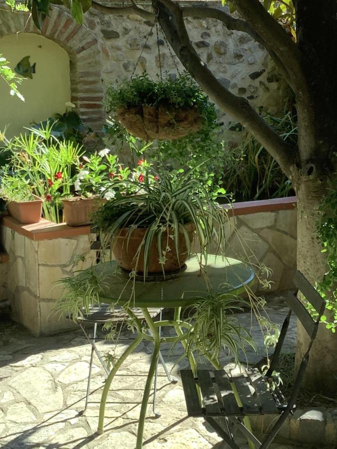 Mas Grandiflora Villa Espira-de-l'Agly Exterior photo